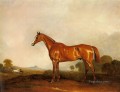 風景の中の栗のハンター 競走馬ジョン・ファーニーリー・シニア